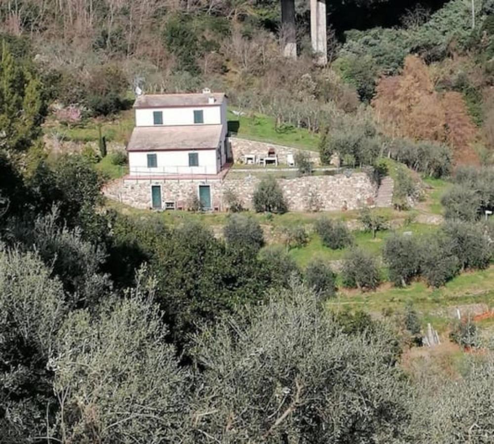Villa Teca & Succo - Nature E Relax Sestri Levante Bagian luar foto