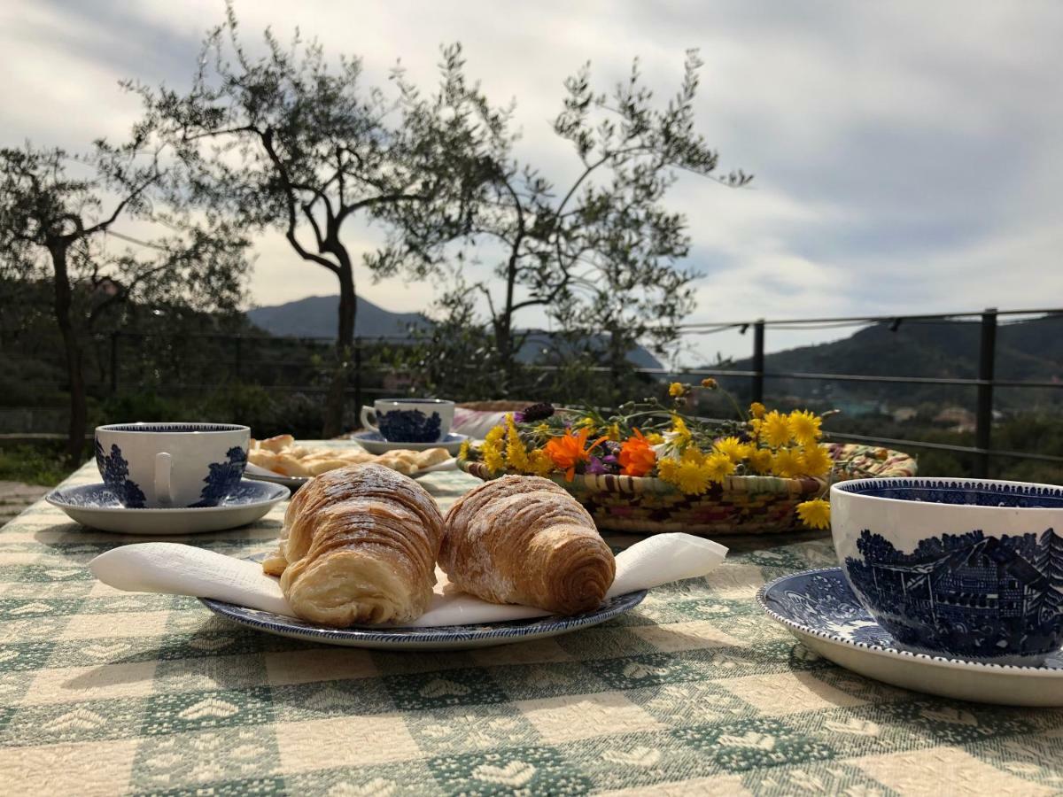 Villa Teca & Succo - Nature E Relax Sestri Levante Bagian luar foto