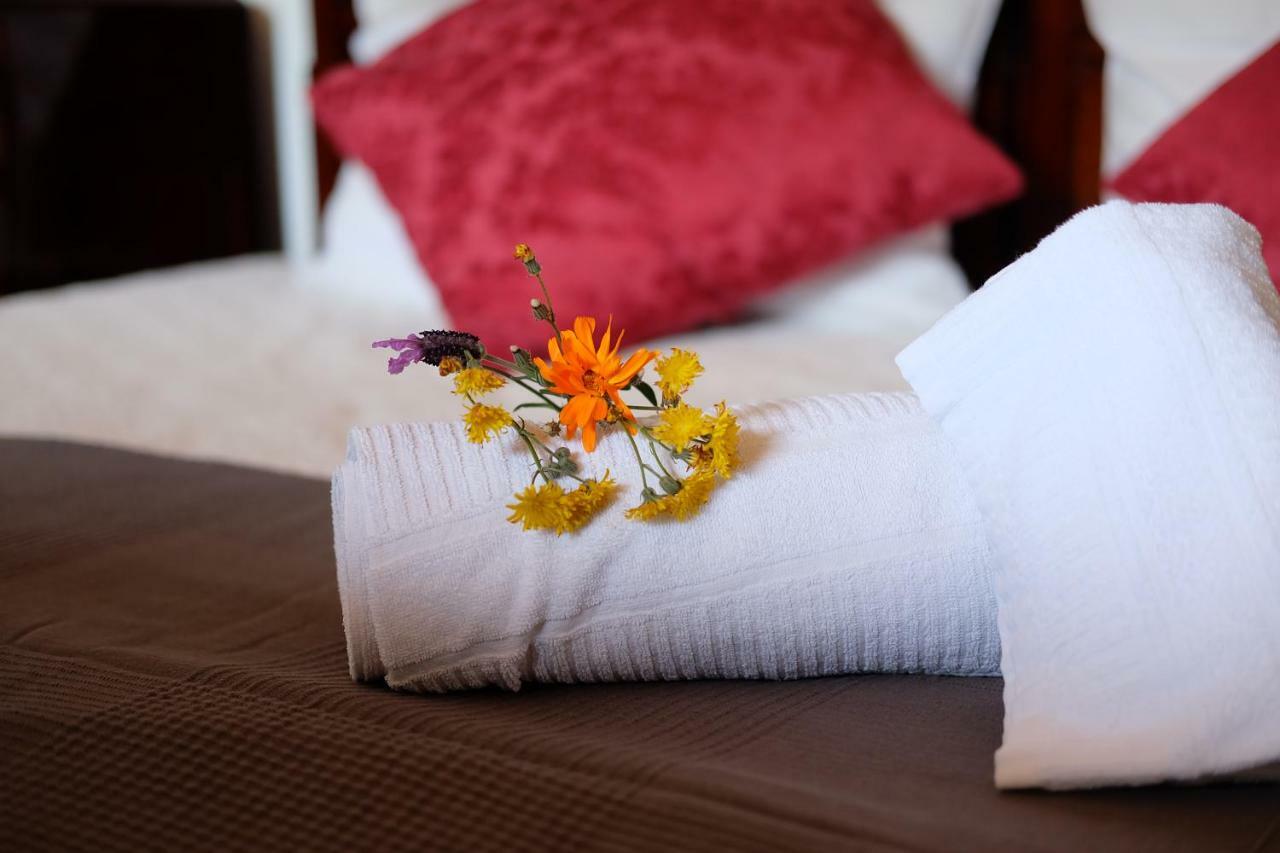 Villa Teca & Succo - Nature E Relax Sestri Levante Bagian luar foto